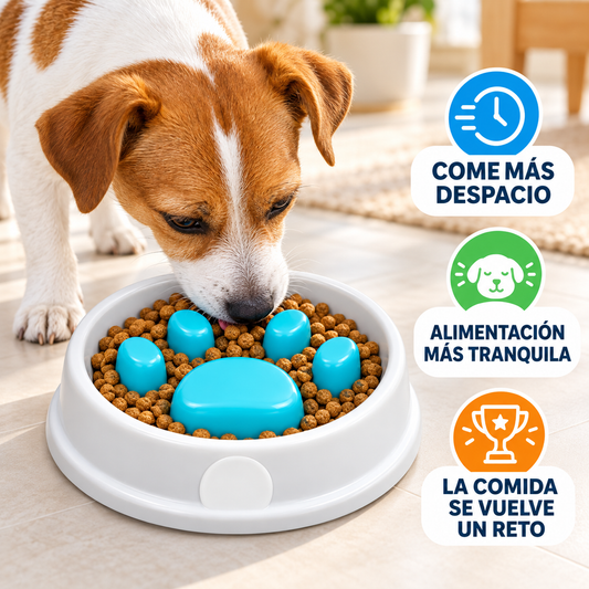 Comedero de Alimentación Lenta para Mascotas Diseño Huella